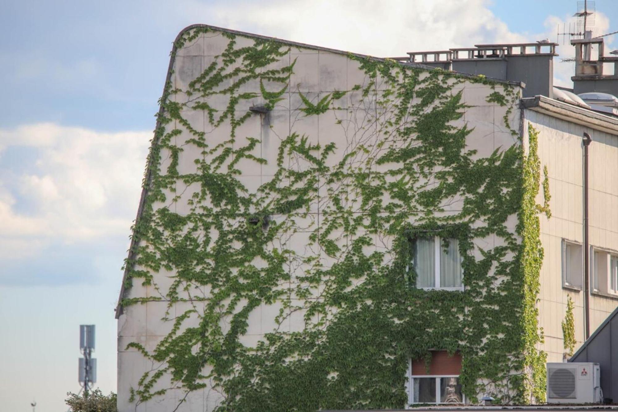 La Pause Annecienne Appartement Familial 阿讷西 外观 照片